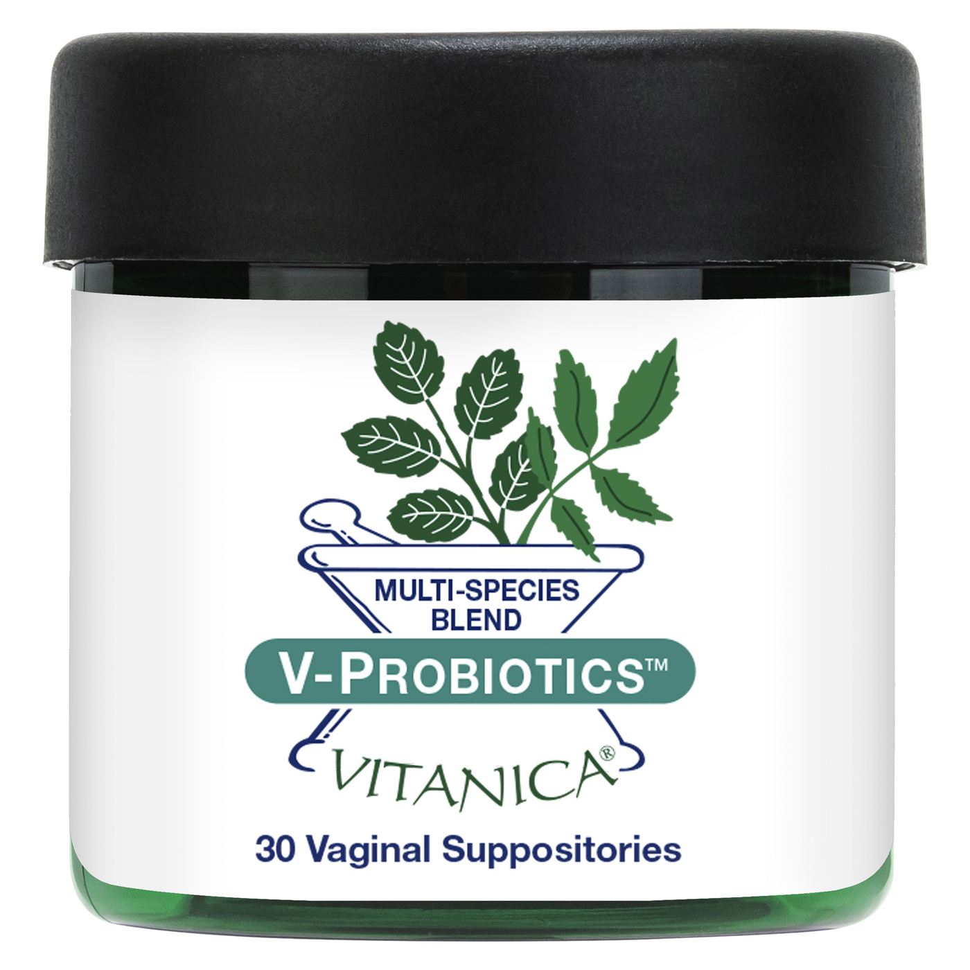 V-Probiotic 30 suppositories Curated Wellness