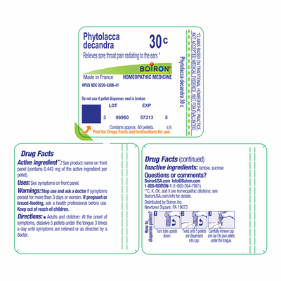 Phytolacca decandra 30C 80 plts Curated Wellness