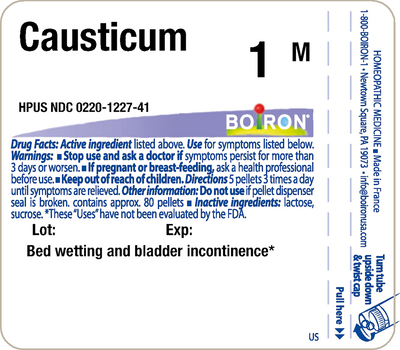 Causticum 1M 80 plts Curated Wellness