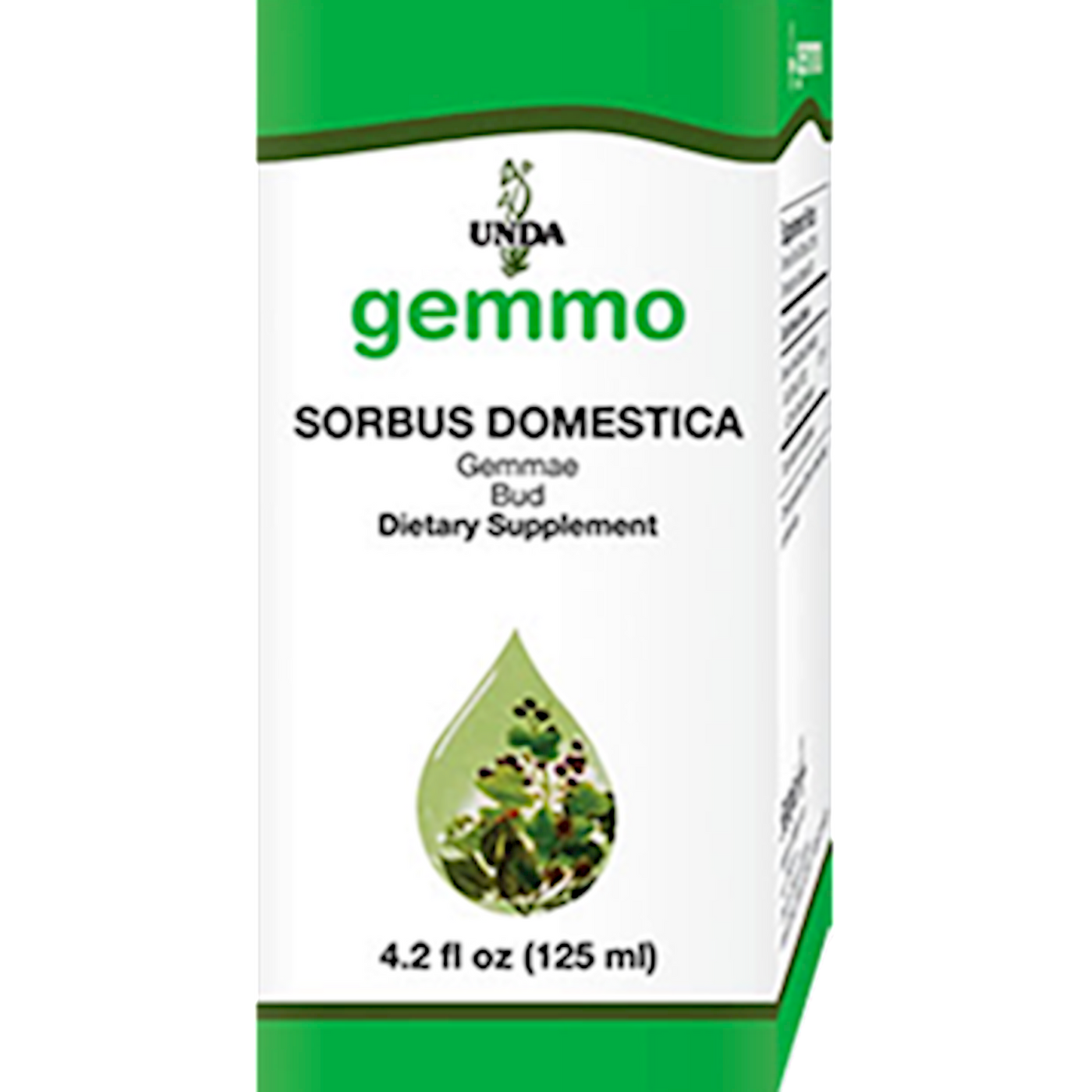 Sorbus domestica 4.2 fl oz Curated Wellness