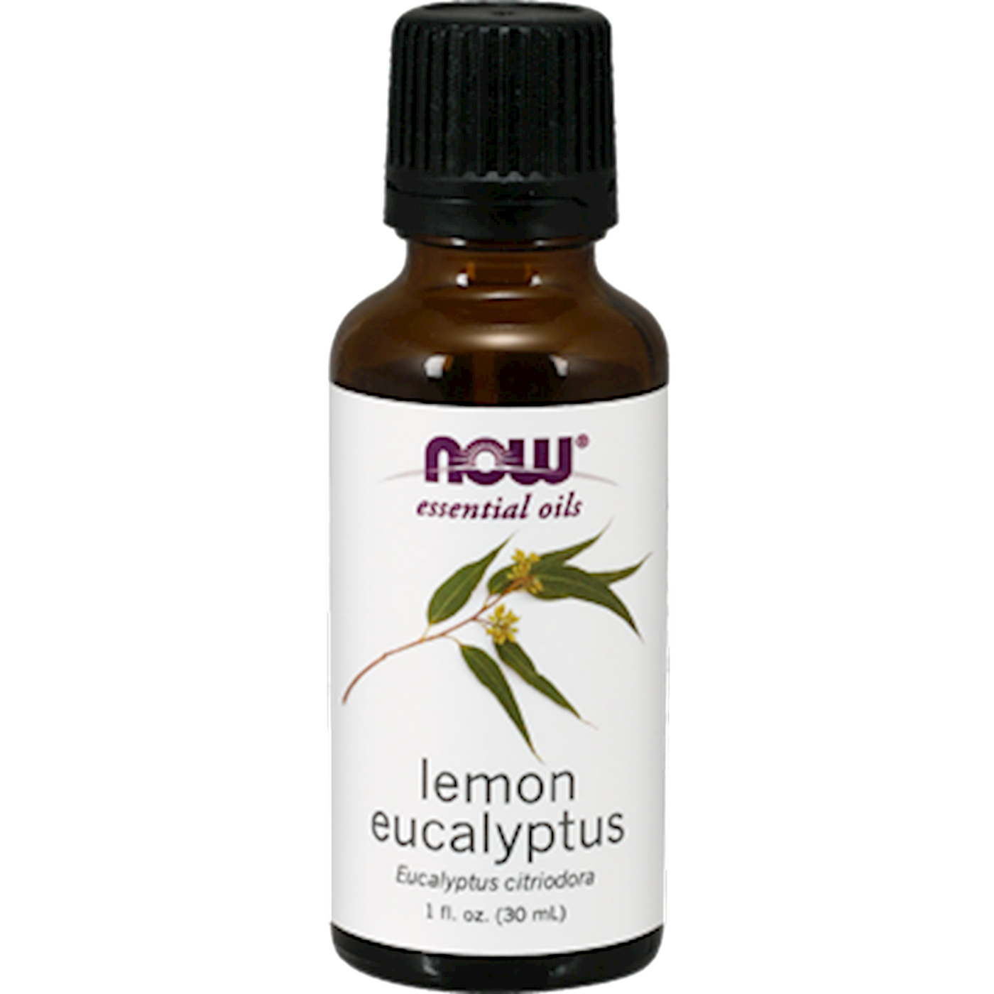 Lemon Eucalyptus (citridora) Oil  Curated Wellness