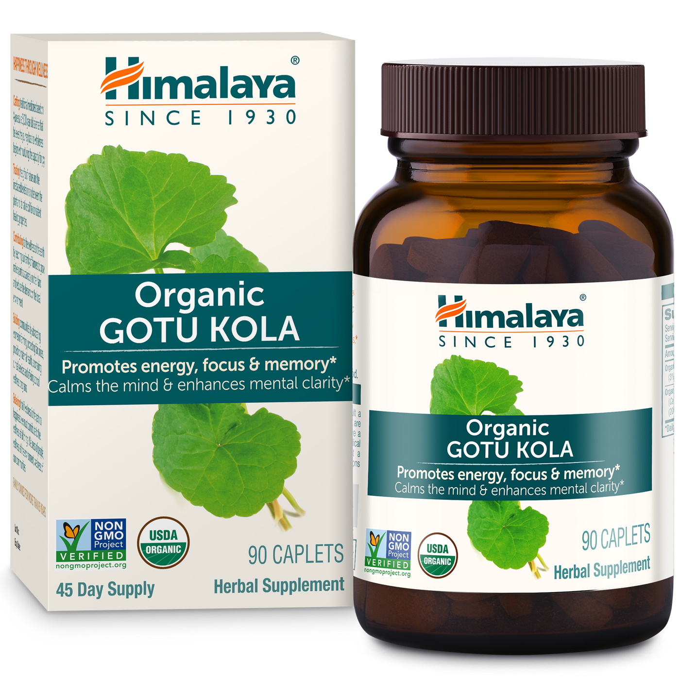 Gotu Kola s Curated Wellness