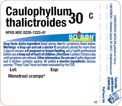 Caulophyllum thal. 30C 80 plts Curated Wellness