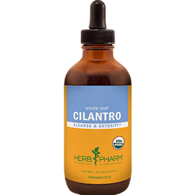 Cilantro  Curated Wellness