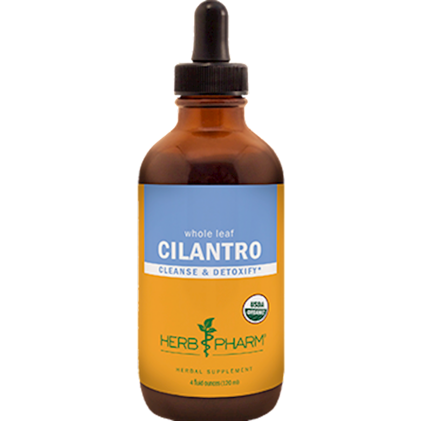 Cilantro  Curated Wellness