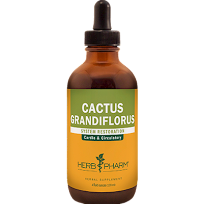 Cactus  Curated Wellness