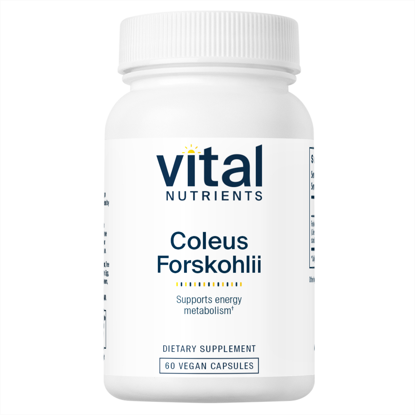 Coleus forskolli 10%  Curated Wellness