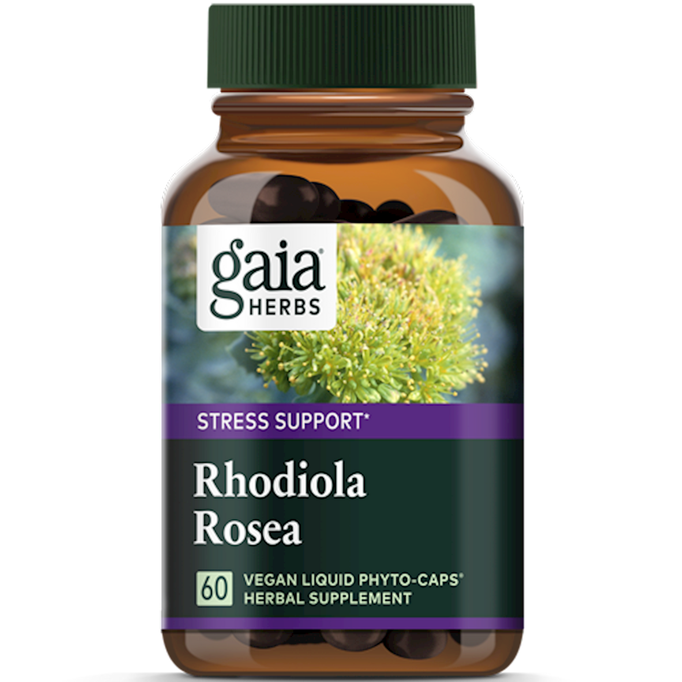 Rhodiola Rosea  Curated Wellness