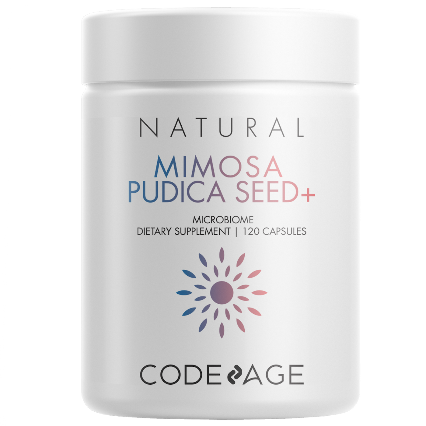 Mimosa Pudica Seed  Curated Wellness