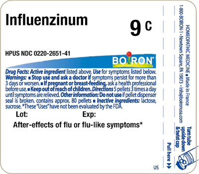 Influenzinum 9c 80 pellets Curated Wellness