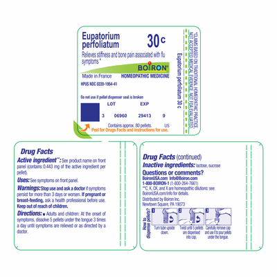 Eupatorium perfoliatum 30C 80 plts Curated Wellness