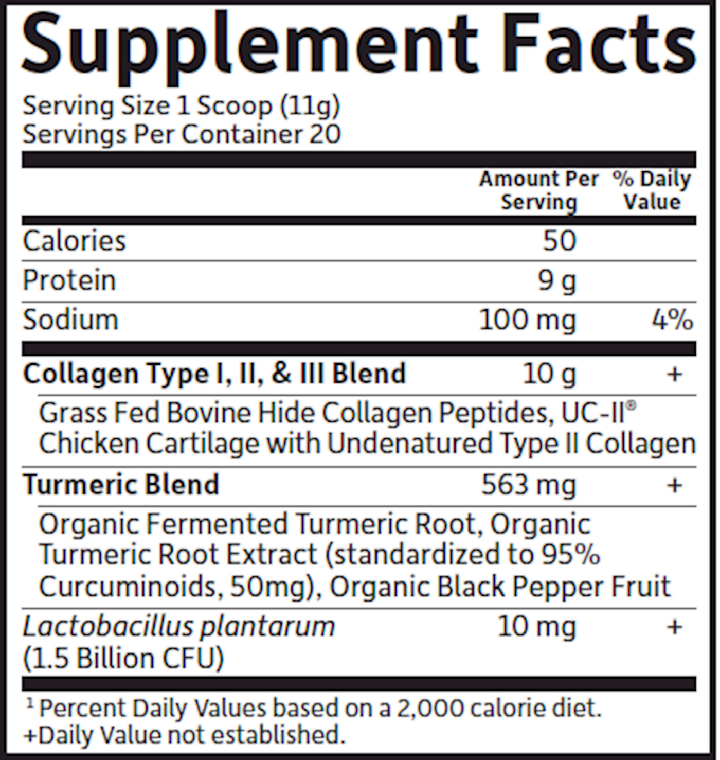 Multi Source Coll Turm Apple Cin  Curated Wellness