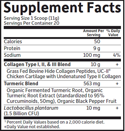 Multi Source Coll Turm Apple Cin  Curated Wellness