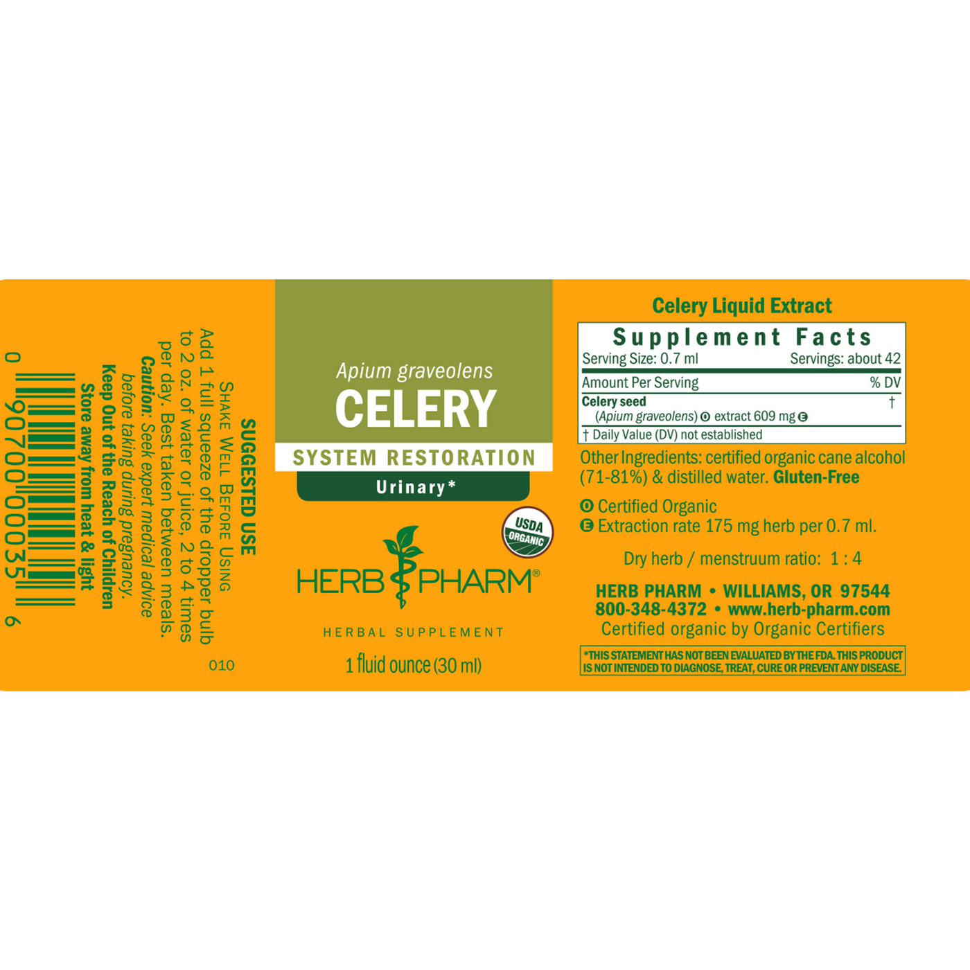 Celery  Curated Wellness