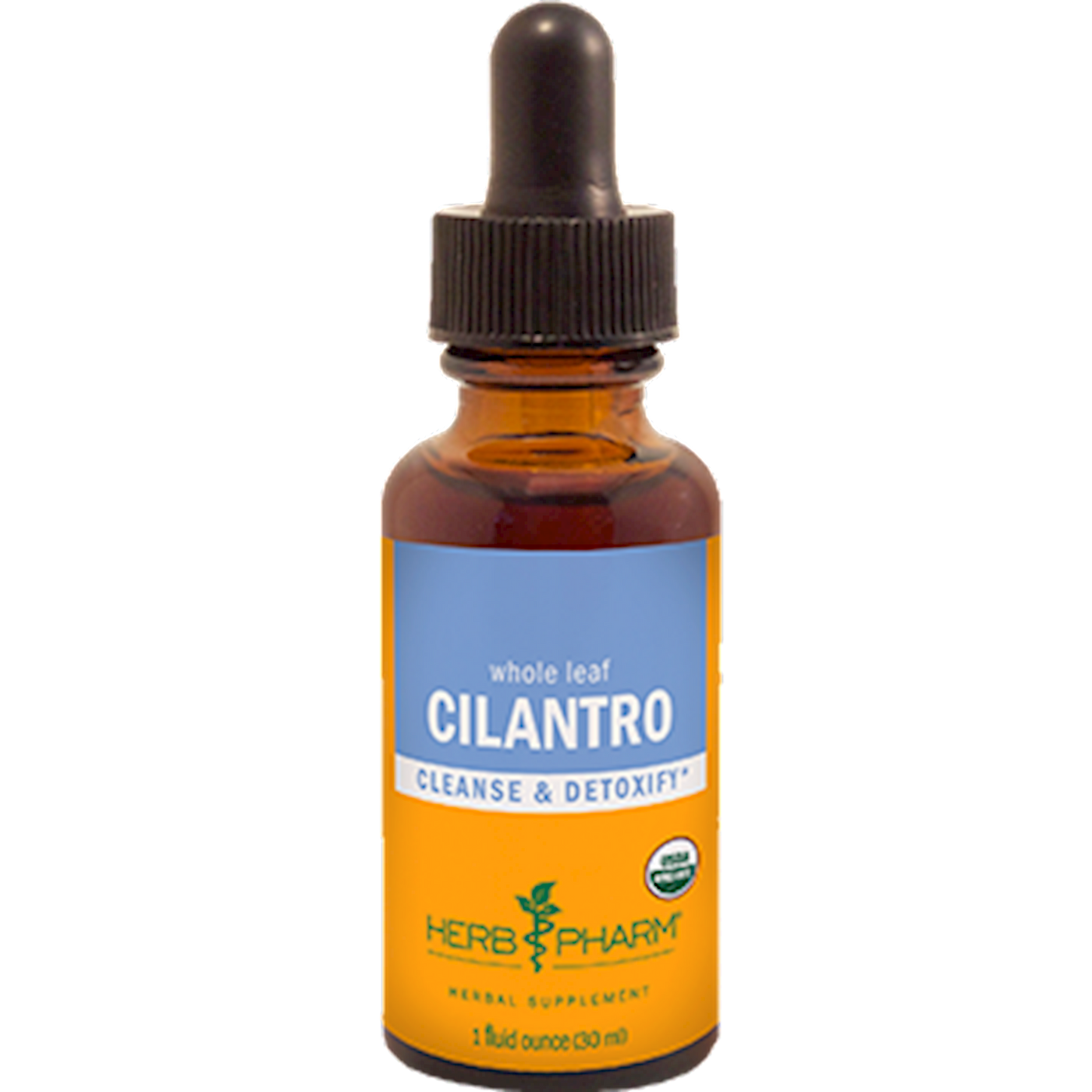 Cilantro  Curated Wellness