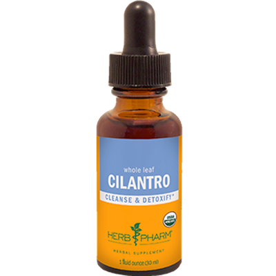 Cilantro  Curated Wellness