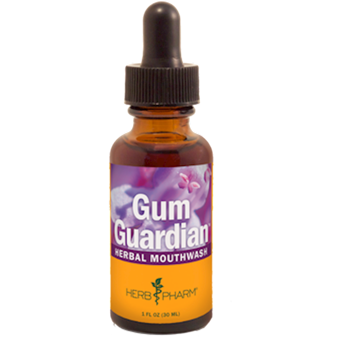 Gum Guardian  Curated Wellness