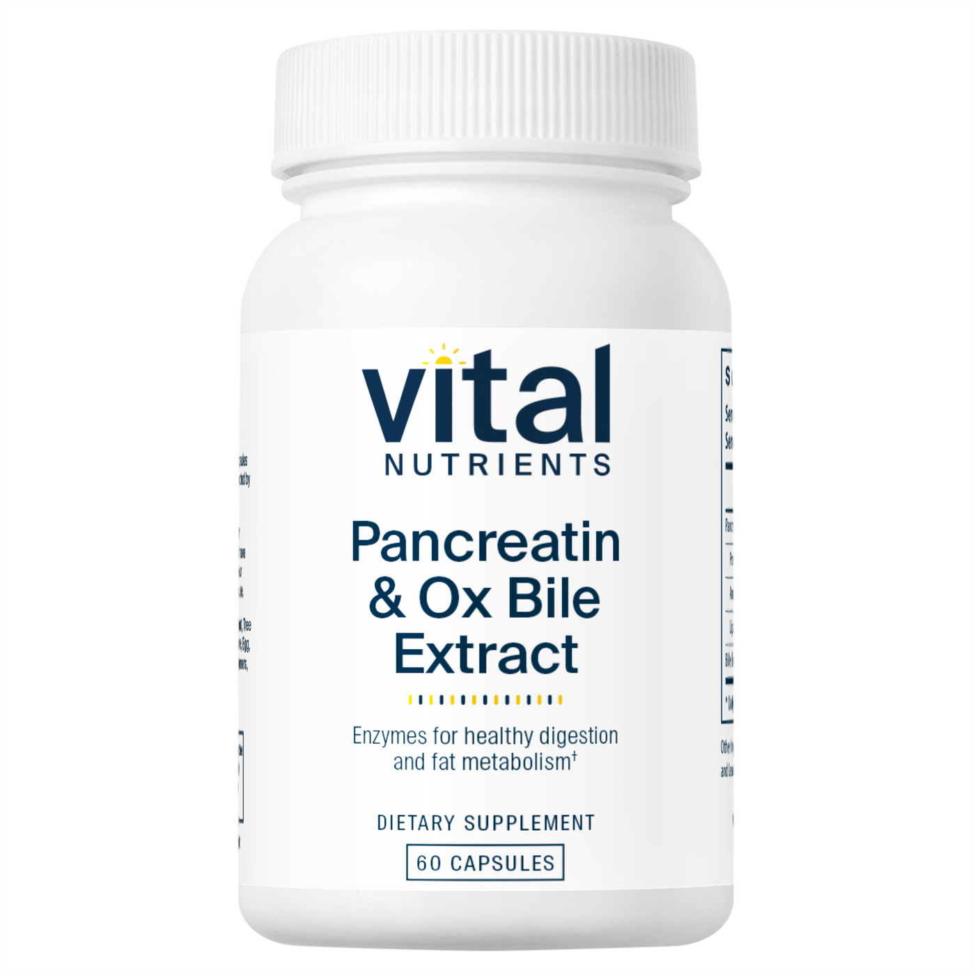 Pancreatin & Ox Bile Extract  Curated Wellness