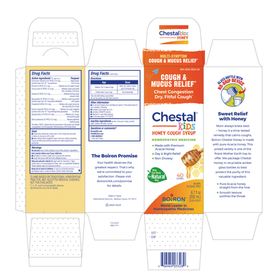 Chestal Children Cough Honey  Curated Wellness