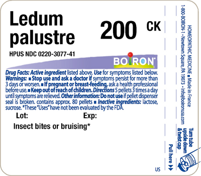 Ledum palustre 200CK 80 plts Curated Wellness