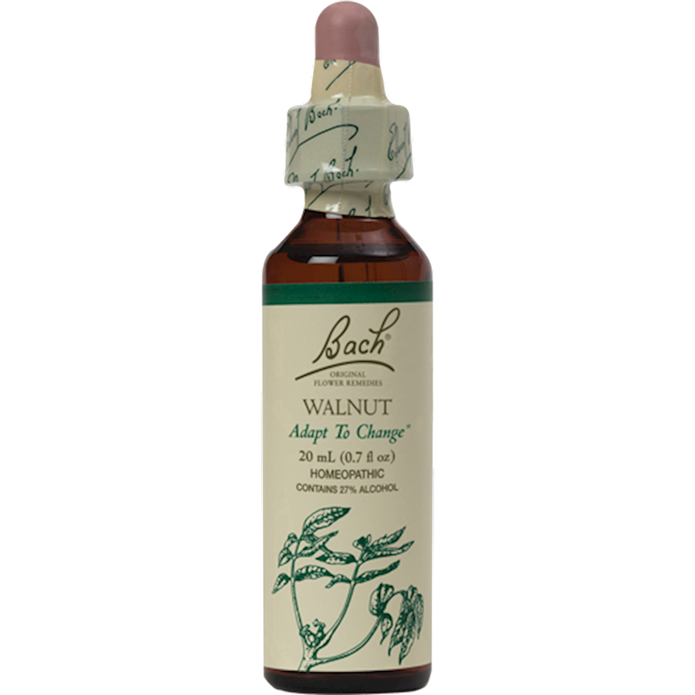 Walnut Flower Essence  Curated Wellness