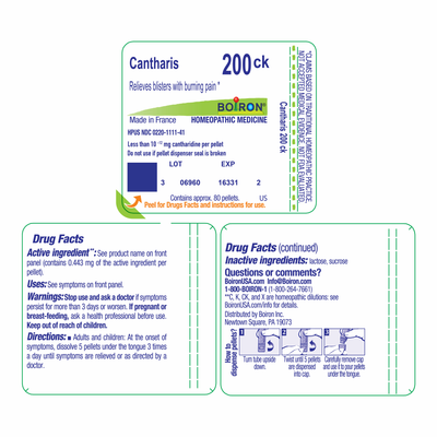 Cantharis 200CK 80 plts Curated Wellness