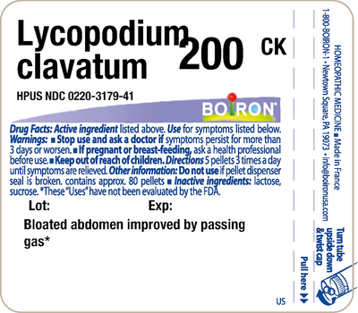 Lycopodium clavatum 200CK 80 plts Curated Wellness