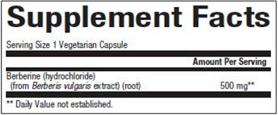 WellBetX Berberine 500 mg  Curated Wellness
