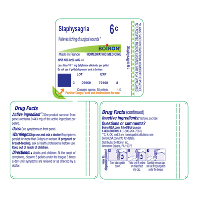 Staphysagria 6C 80 plts Curated Wellness