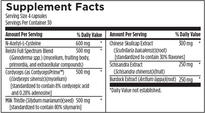 Hepatatone Plus  Curated Wellness