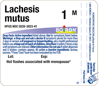 Lachesis mutus 1M 80 plts Curated Wellness