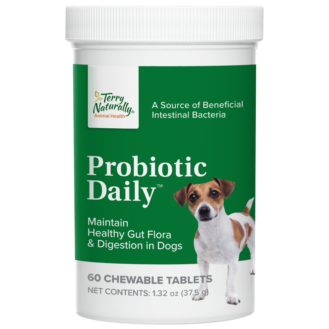 Probiotic Daily 60 chew tabs Curated Wellness