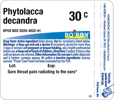 Phytolacca decandra 30C 80 plts Curated Wellness