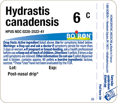 Hydrastis canadensis 6C 80 plts Curated Wellness