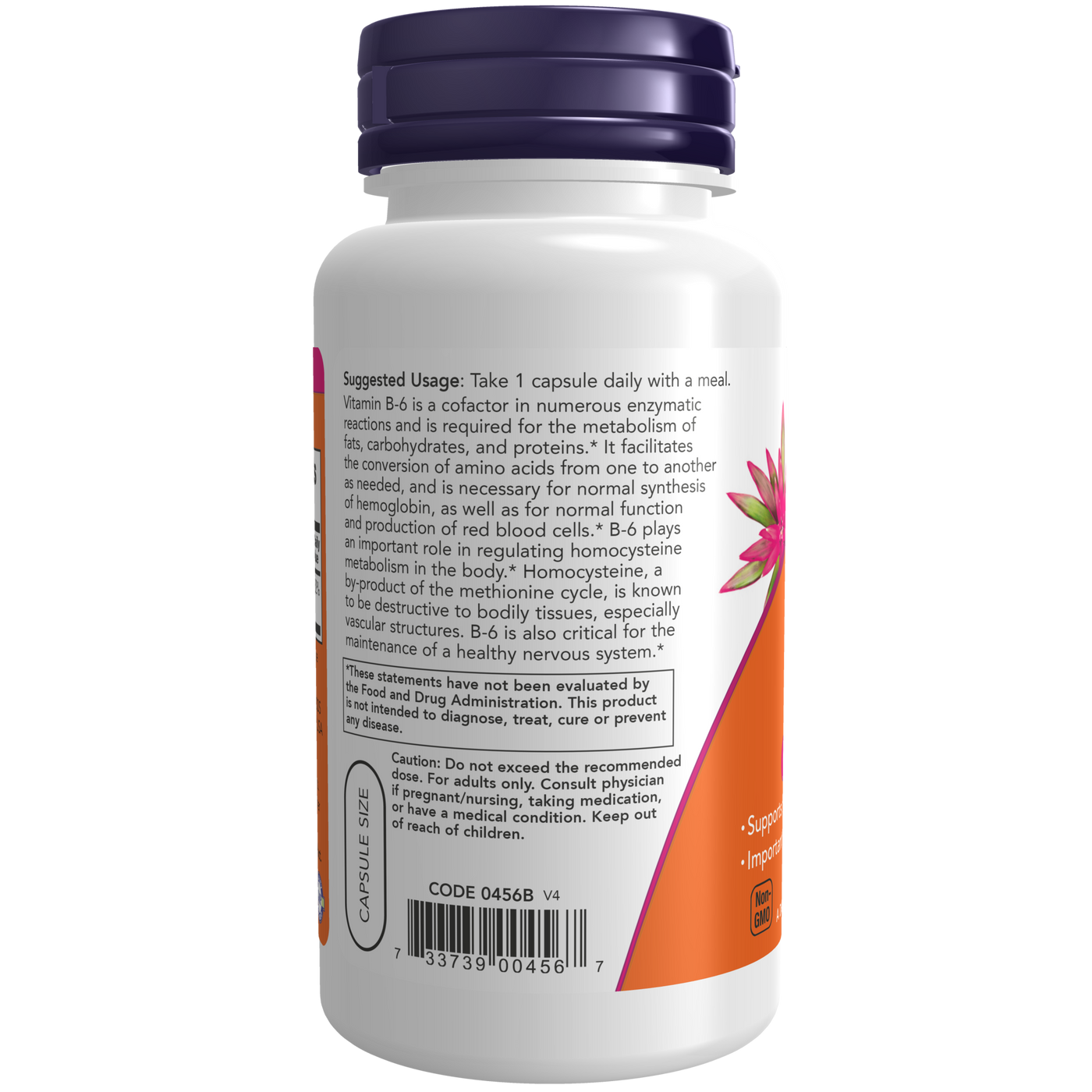 B-6 100 mg  Curated Wellness