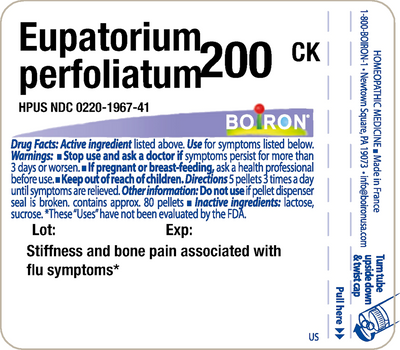 Eupatorium perfoliatum 200CK 80 plts Curated Wellness