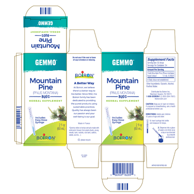 Gemmo Mountain Pine Buds 2 fl oz Curated Wellness