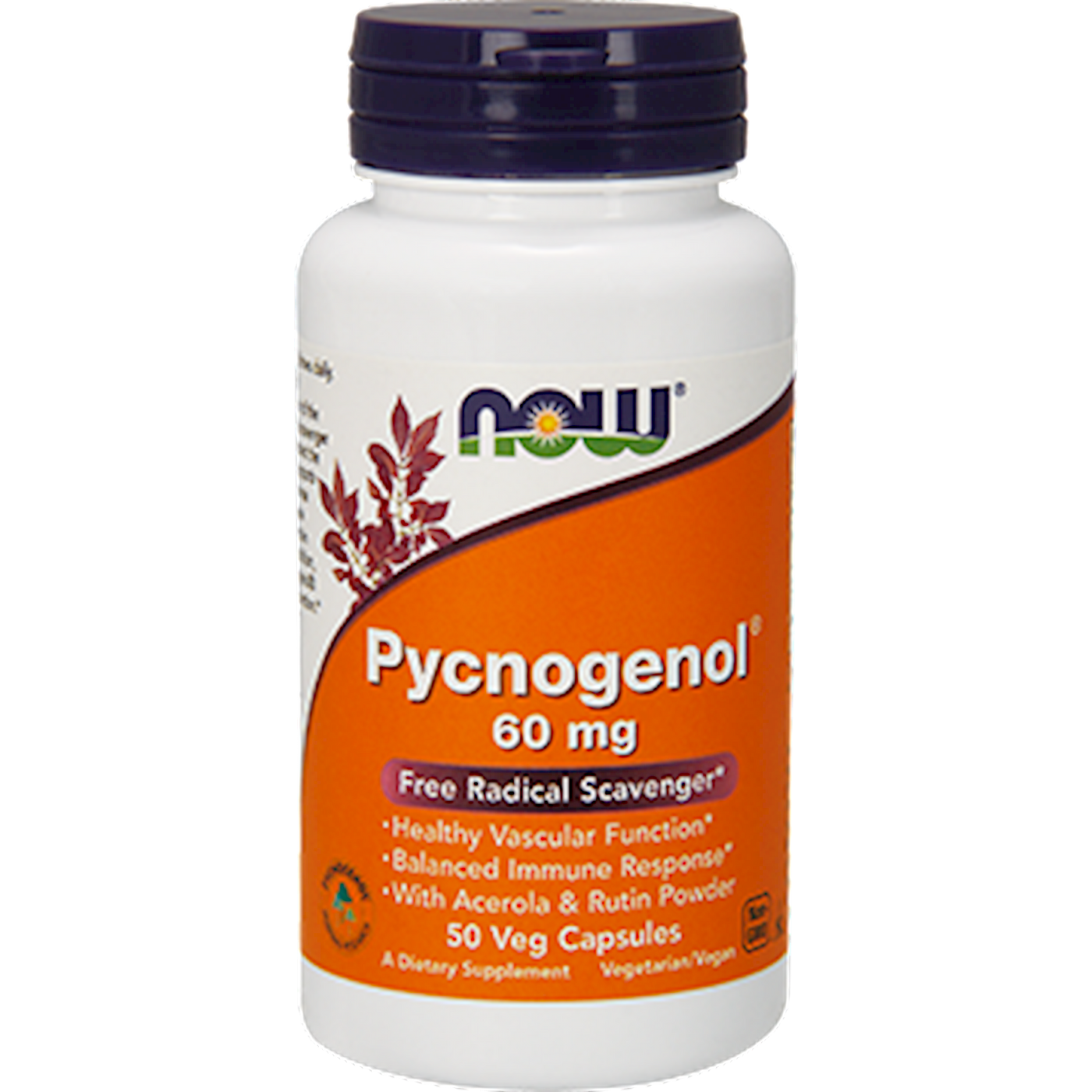 Pycnogenol 60 mg  Curated Wellness