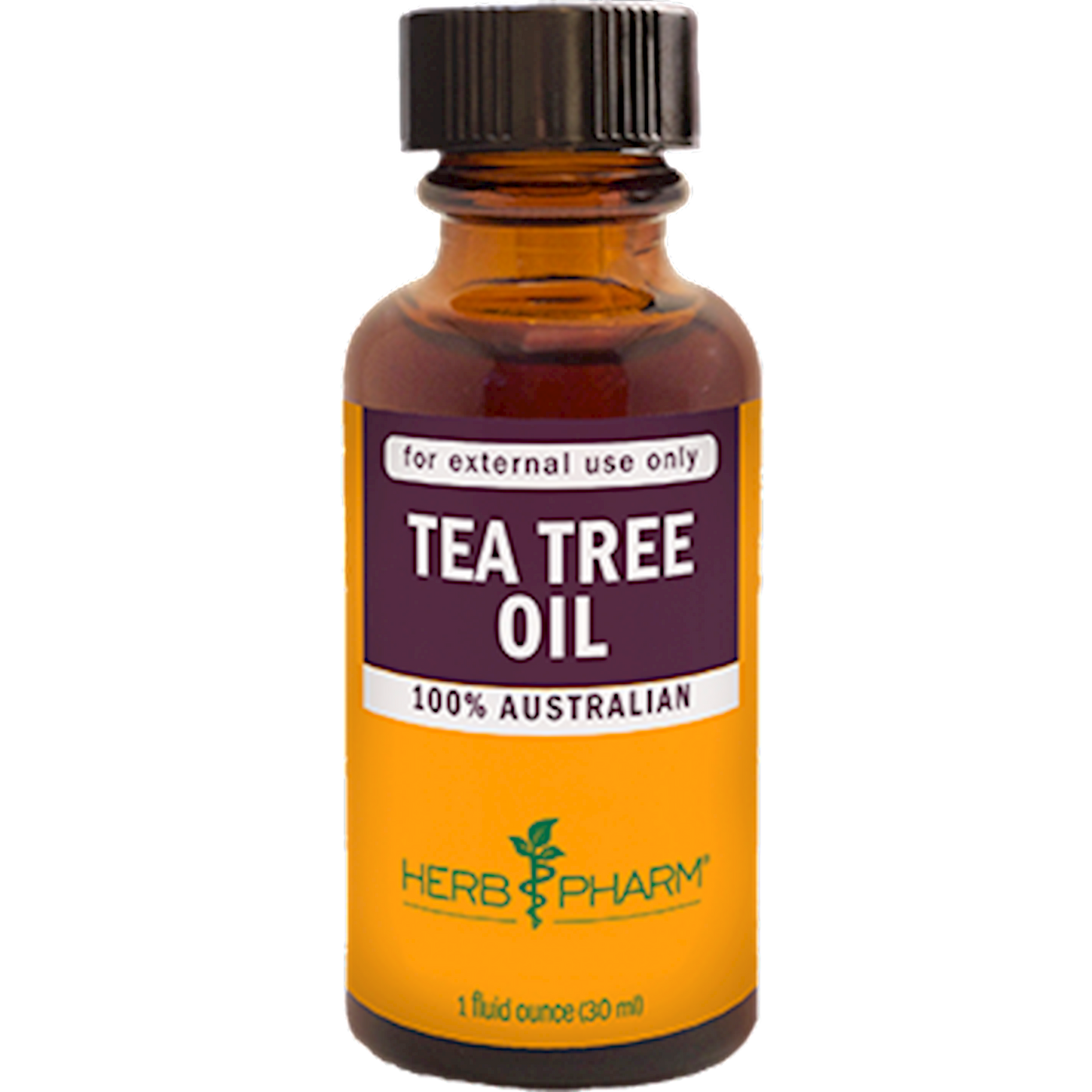 Tea Tree Oil  Curated Wellness