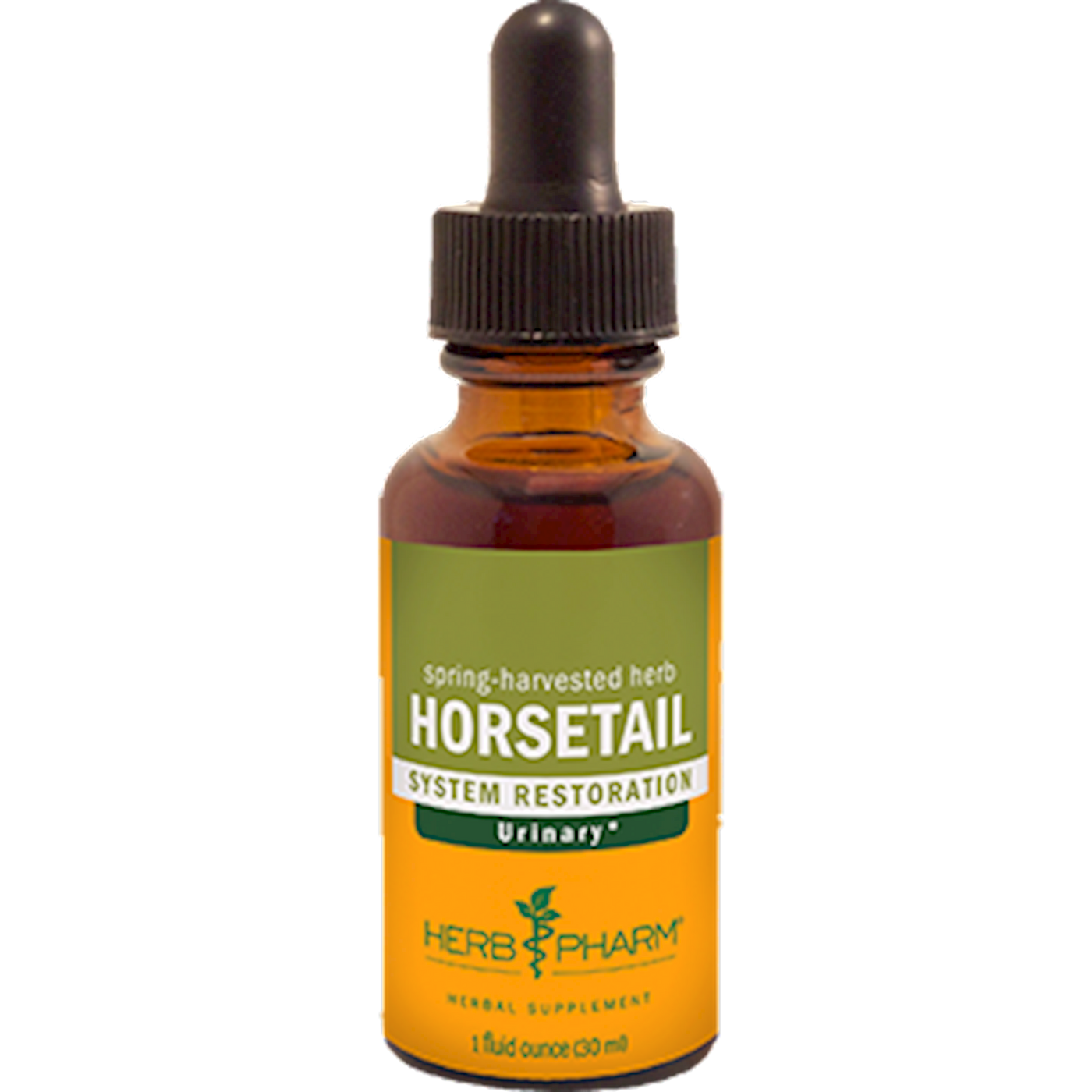 Horsetail  Curated Wellness