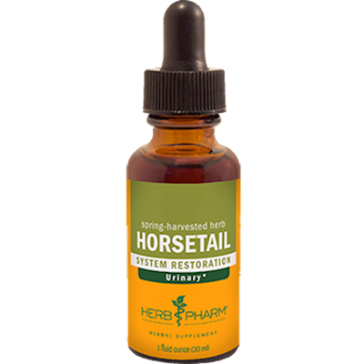 Horsetail  Curated Wellness