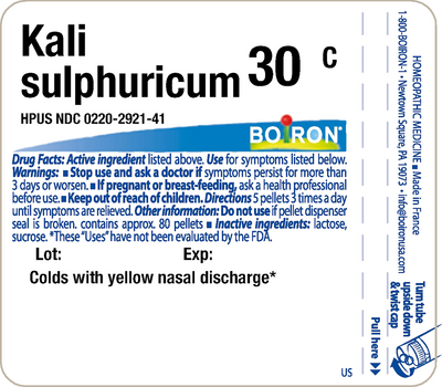 Kali sulphuricum 30C  Curated Wellness