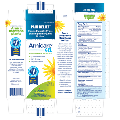 Arnicare Arnica Gel  Curated Wellness