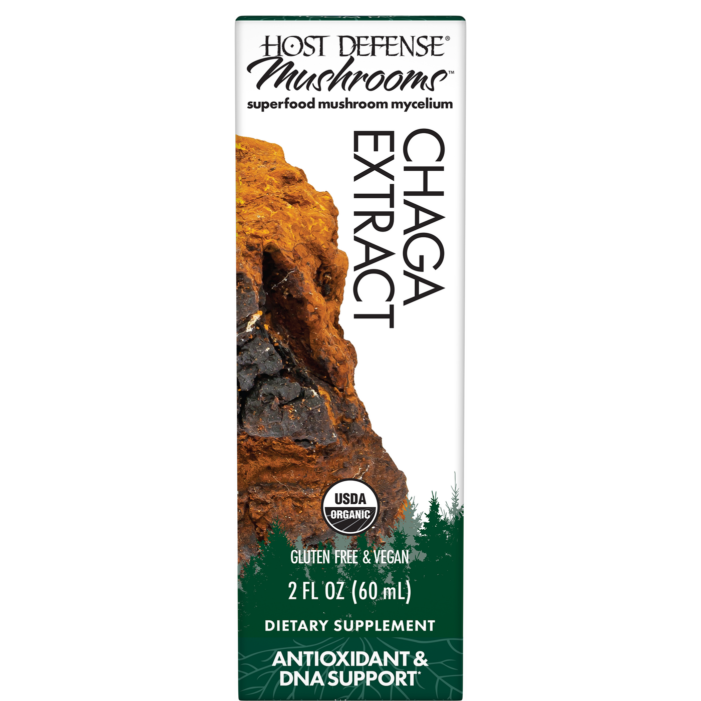 Chaga Extract  Curated Wellness