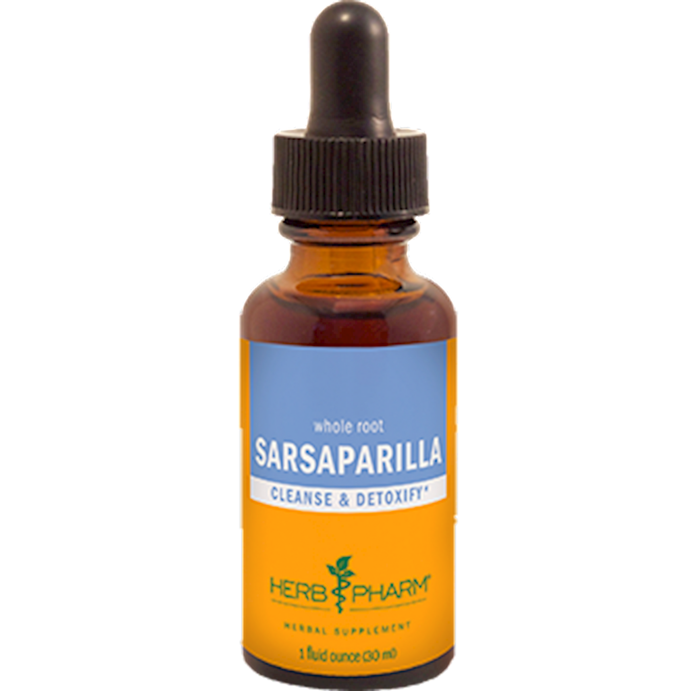 Sarsaparilla  Curated Wellness