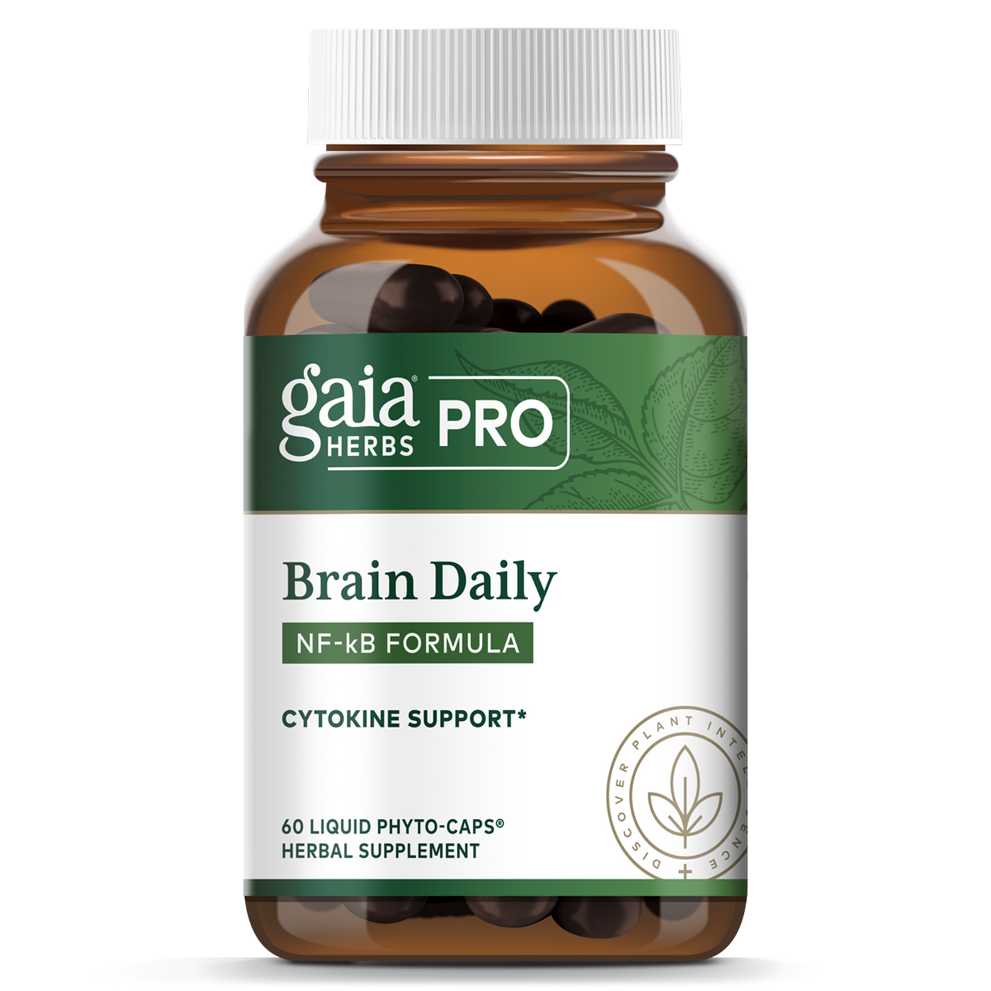 Brain Daily: NF-kB Formula  Curated Wellness