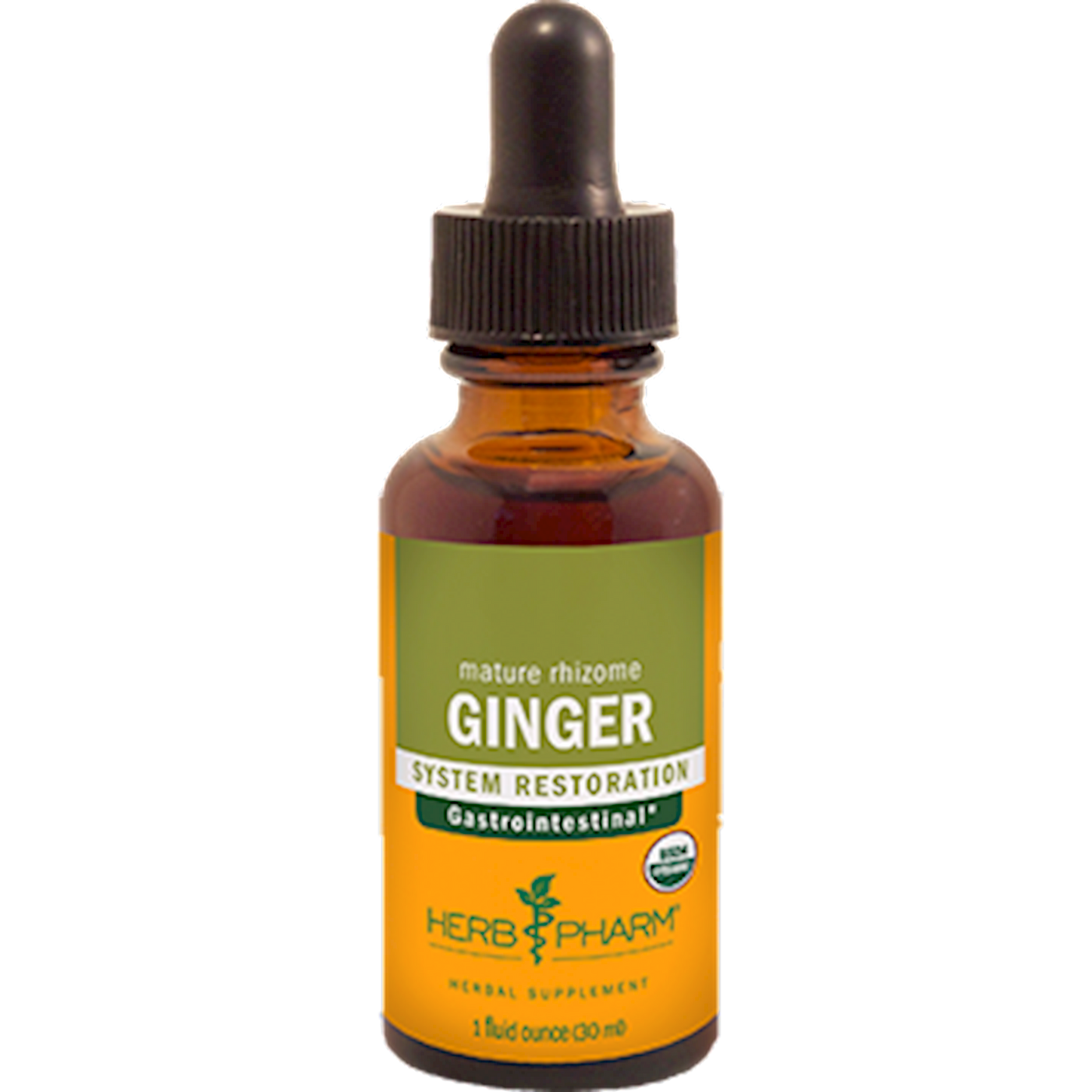 Ginger  Curated Wellness