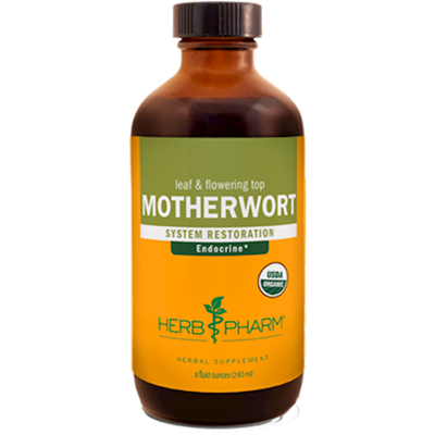 Motherwort  Curated Wellness