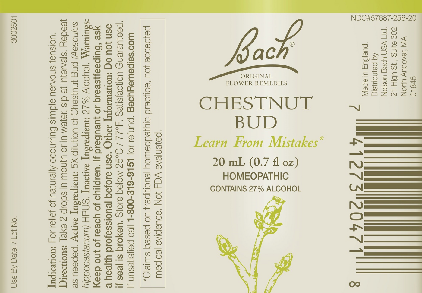 Chestnut Bud Flower Essences  Curated Wellness