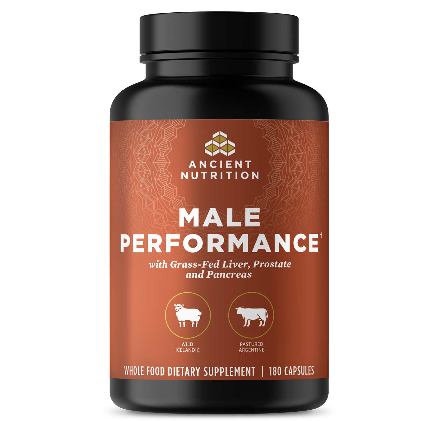 Male Performance  Curated Wellness